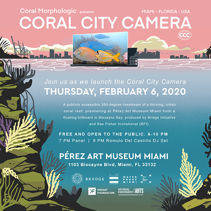 Coral Morphologic » Coral City Camera