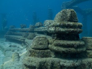 Coral Morphologic » Blog Archive » Neptune Memorial Reef